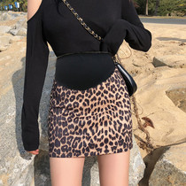 Pregnant womens skirt autumn and winter fashion high waist BAO WEN maternity dress spring and autumn skirt Hong Kong flavor retro dress A- shaped bag hip skirt