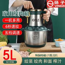 Yangzi Meat Grinder 6 Liters Large Capacity High Power Home Small 1 Liters Full Automatic Multifunction Six Leaf Knife Wringing Filling Machine