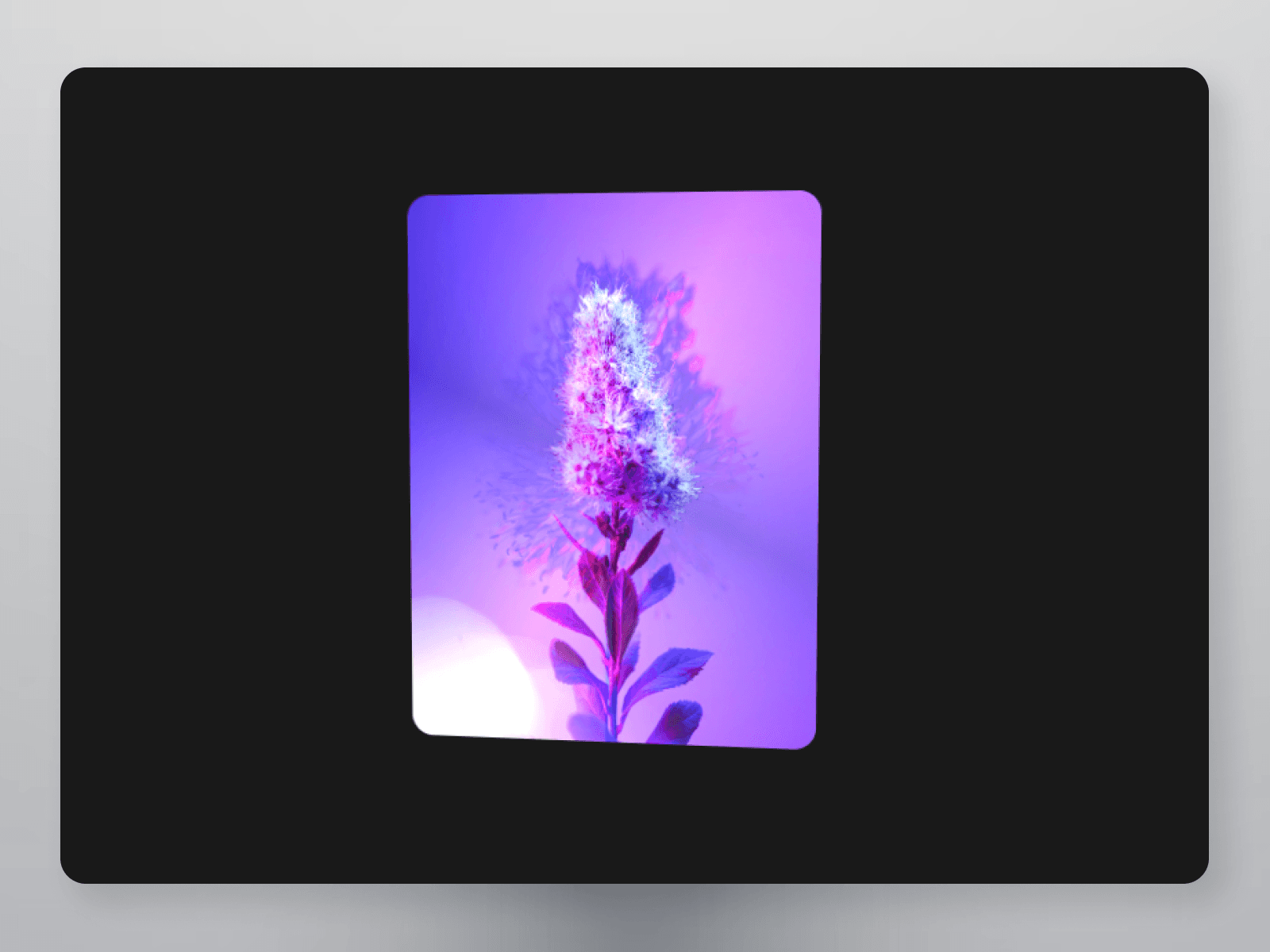 Framer中文网免费组件模板、Framer组件、Framer模板、Framer教程、Framer汉化