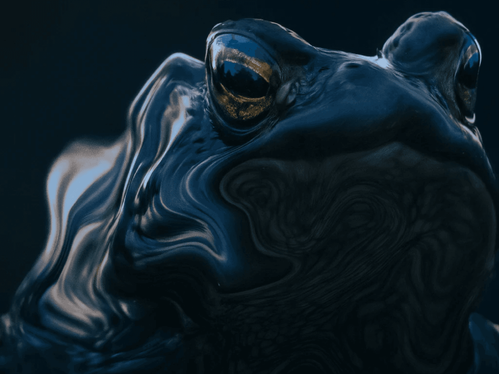 Framer中文网免费组件模板、Framer组件、Framer模板、Framer教程、Framer汉化