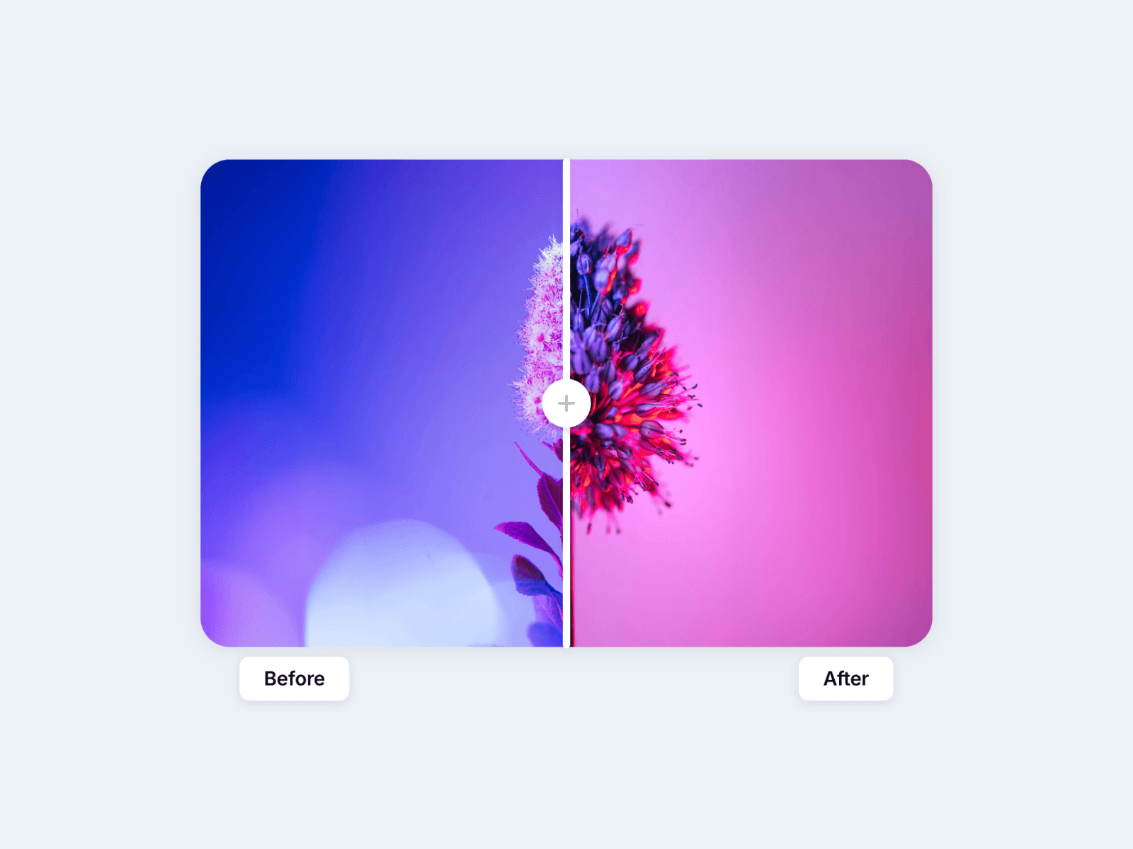 Framer中文网免费组件模板、Framer组件、Framer模板、Framer教程、Framer汉化