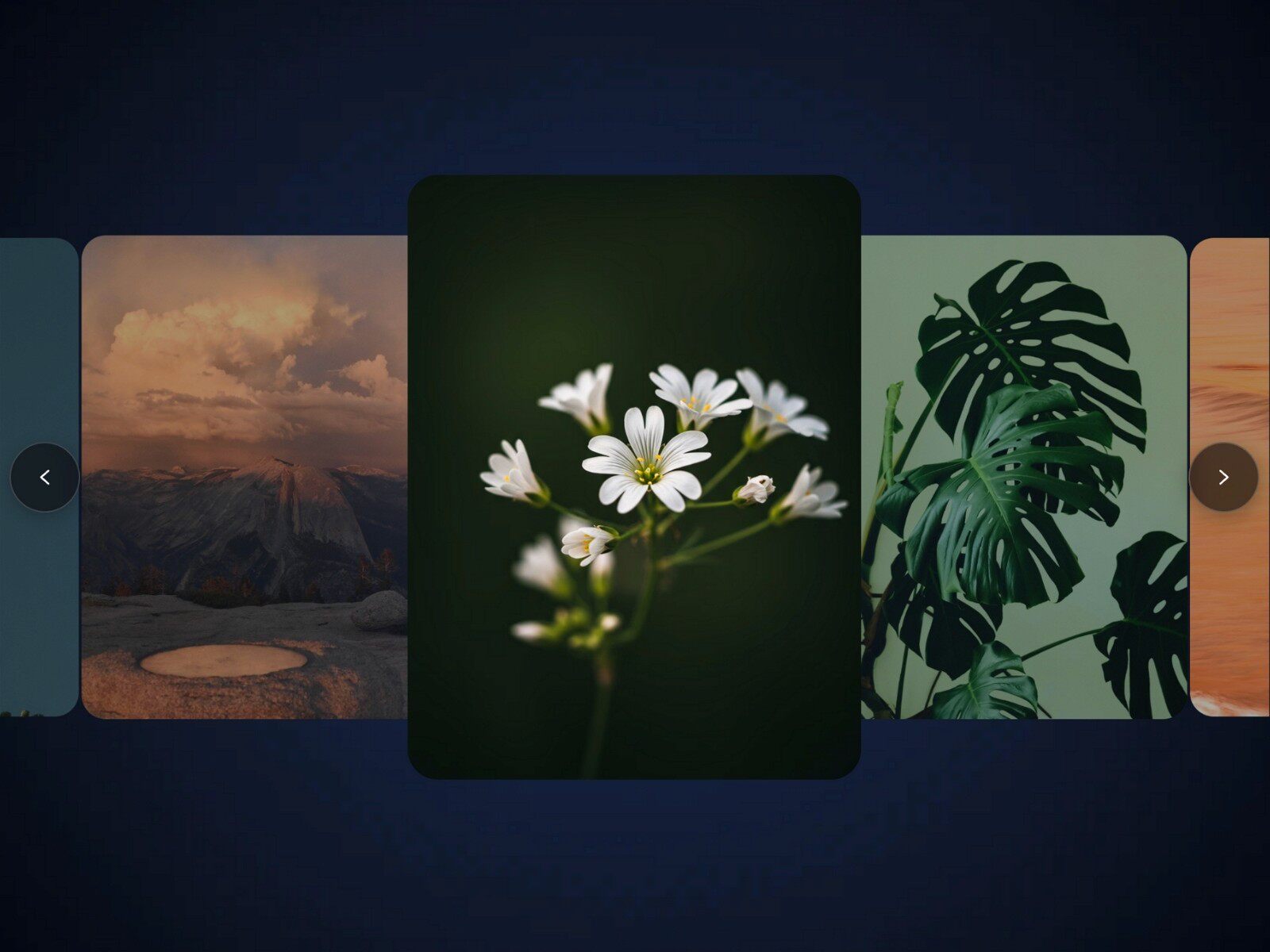 Framer中文网免费组件模板、Framer组件、Framer模板、Framer教程、Framer汉化