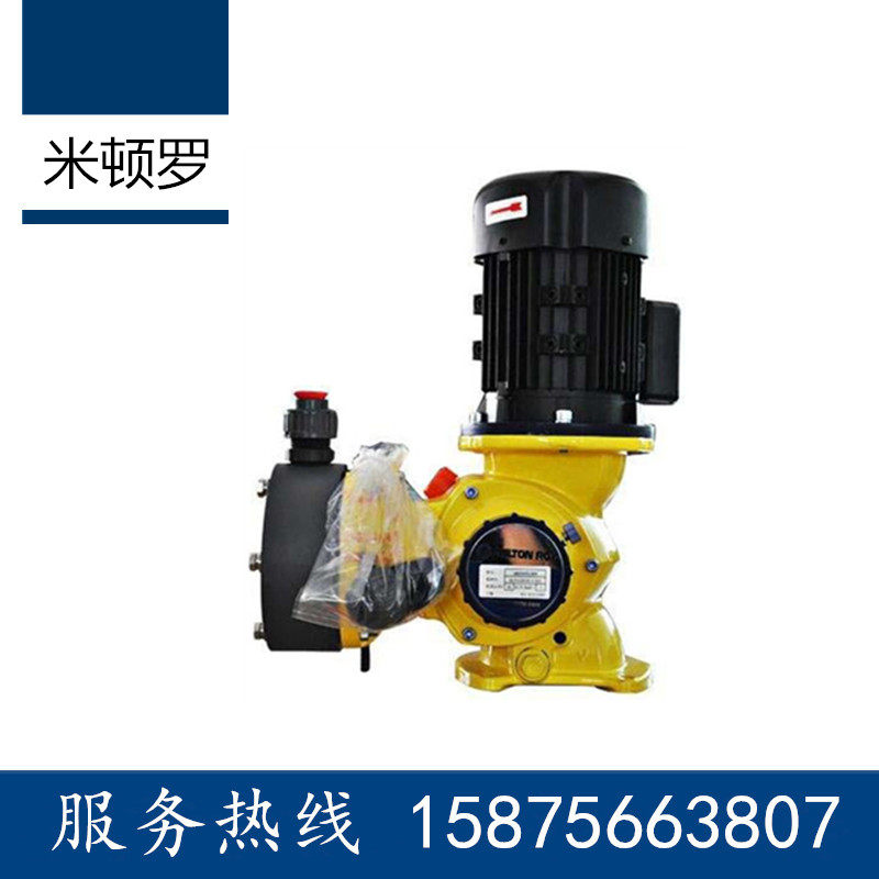 Miton Lo Mechanical Diaphragm Measurement Pump GB0080PPP3 VH1MNN 0600TP1VNN Sodium hypochlorite Pump