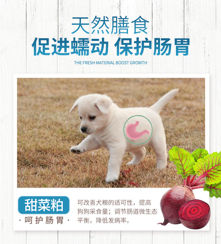 Vanke Labrador thức ăn cho chó đặc biệt 40 kg nạp vào chó con Golden Retriever phổ biến gấp đôi bánh sữa 20kg - Chó Staples đồ ăn chó