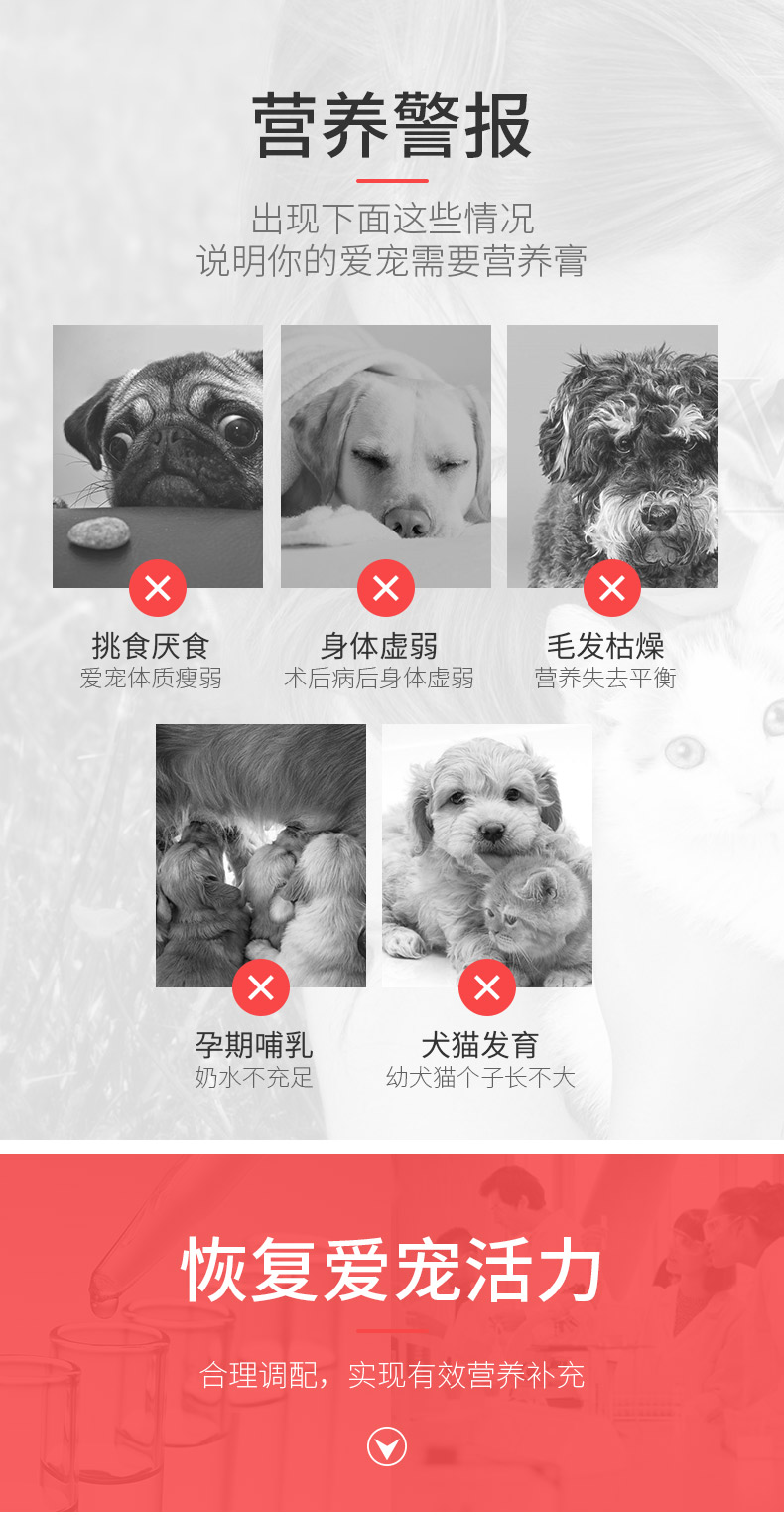 Mua 2 tặng 1 chó con chó con kem dinh dưỡng cho chó cưng Mèo bông có lông đẹp canxi cao chó con mèo mang thai - Cat / Dog Health bổ sung sữa bột cho chó