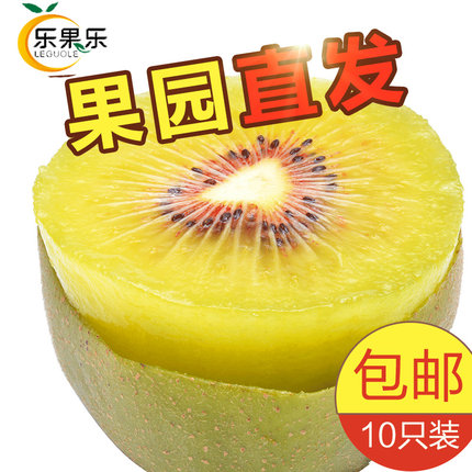 乐果乐四川蒲江红心猕猴桃奇异果新鲜水果非进口智利金果包邮预售