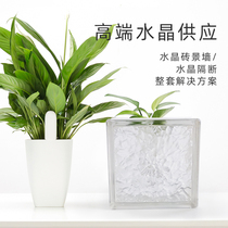  Jinghua super white cloud fog ice shadow pattern Crystal glass brick transparent square living room bedroom bathroom lighting partition wall