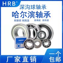 Deep Groove Ball Bearing 6308 6308 6309 6309 6311 6311 6312 6313 6314 6314 6316 6316