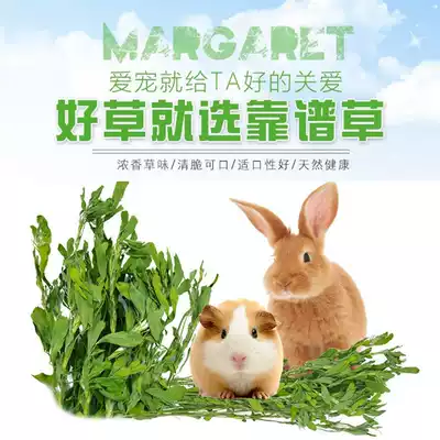 New pet rabbit alfalfa hay Dutch pig grain guinea pig Chinchilla Forage Feed rabbit grain gross weight 1KG