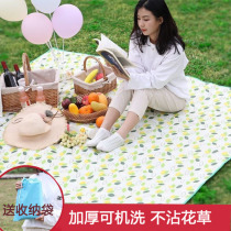 Spring Tours Picnic Mat Waterproof Thickened machine washable anti-damp cushion Outdoor Children portable Ins Wind picnic cloth lawn mat