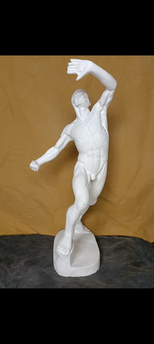 Motion anatomical plaster 'like an anatomical full body high 70 cm fine art teaching aids home pendulum' pieces-Taobao