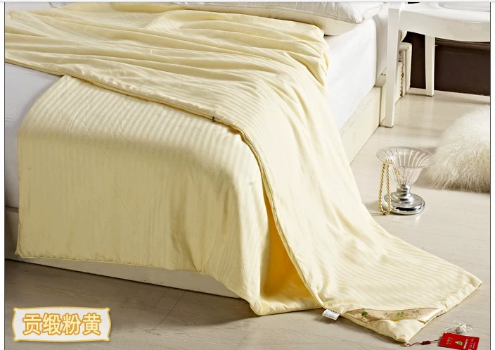 Bông satin chăn bông chăn đôi bộ đơn mảnh đặc biệt nệm lụa bông bên trong - Quilt Covers