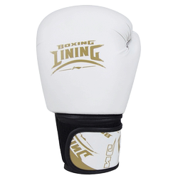 Li-Ning Boxing Gloves for Women, Martial Arts, Sanda, Men, Adults, Punching Bags, Training, Muay Thai, Women's Fighting