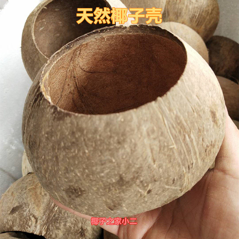 Hainan Coconut Shell Polished Natural Coconut Shell Old Coconut Shell Coconut Shell Craft Gift Decoration 10cm-15cm from 2