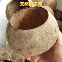 Hainan Coconut Shell Polished Natural Coconut Shell Old Coconut Shell Coconut Shell Handicraft 10cm-15cm 2 up