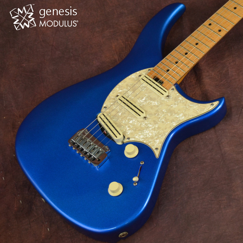 MODULUS GENESIS 1 Second flashlight Guitar Stone Bridge Musical Instrument