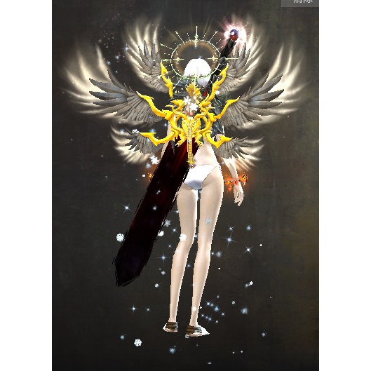 Guild Wars 2 Immortal Bracelet Pack Immortal Aura Pack Immortal Halo Pack In-Game Items Gems Including Wegame