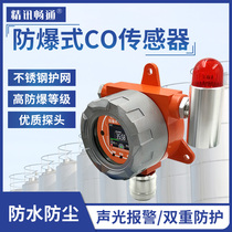 Fixed carbon monoxide gas detector gas co alarm industrial online gas pollution detection