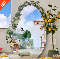 Profiled Floor Mirror Audition Mirror Makeup Mirror Home Florist Coffee Shop Irregular Decorative Mirror Wall-mounted Ins Nets Red