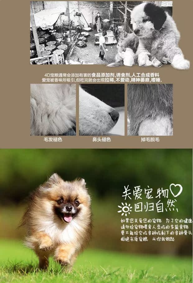 Shi Kawei nâng cấp thương hiệu sữa Shi Shi hương vị sữa tự nhiên thức ăn cho chó nhỏ chó con chó con thực phẩm 1.8kg đại lý vận chuyển - Chó Staples hạt zenith cho chó con