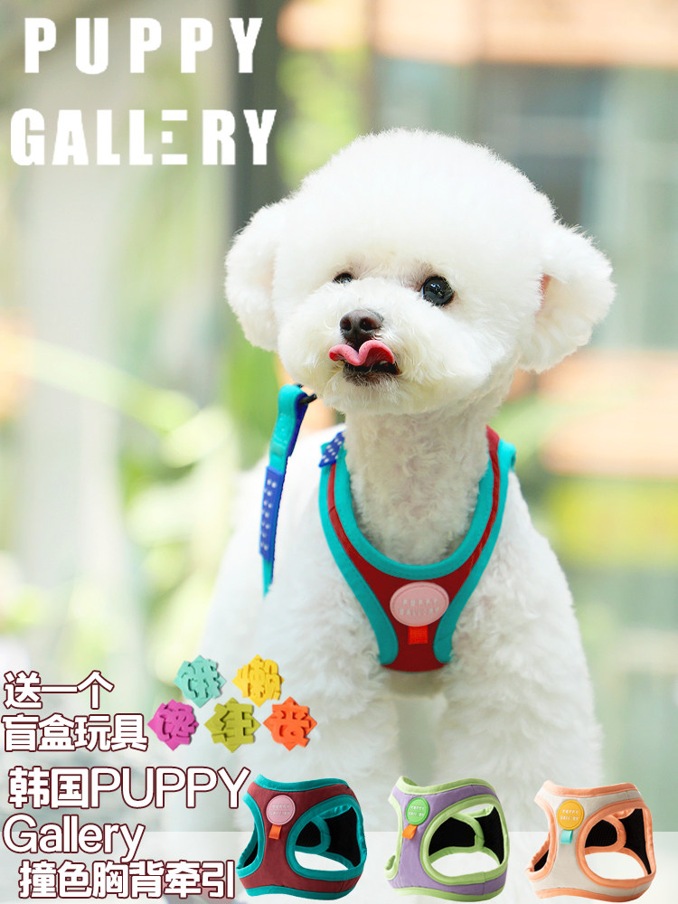 Korea Puppy Gallery a Contrast color cotton dog chest back traction vest type dog walking small and medium-sized dog traction
