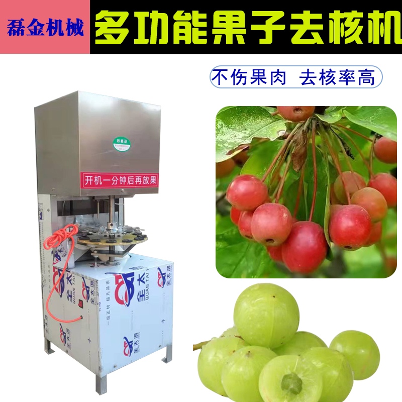 New hawthorn nuclear machine multi-functional jujube nuclear machine commercial automatic oil glycerin nuclear machine canned equipment