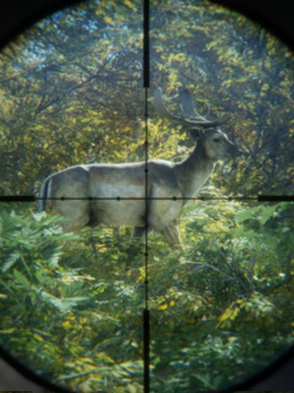 Pc Chinese Version Steam the Hunter: Call of the Wild Activation Code Cdkey for China Region
