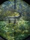 Pc Chinese Version Steam the Hunter: Call of the Wild Activation Code Cdkey for China Region