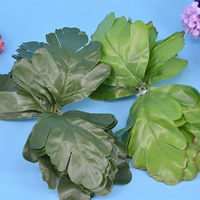 Подумайте о 10 частях темно -зеленого