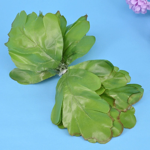 Активность-2 листовые листья зеленые чулки