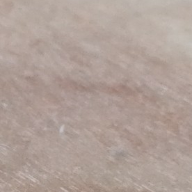 Chengdu 1.5mm woodworking board home decoration joinery board E1 environmental protection 1.8m large core board multi-layer strip engineering woodworking board