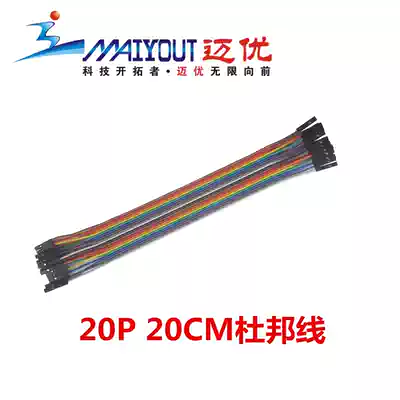 20p rehearsal DuPont line 20 long 20CM cable Development Board test debugging wire voice debugging line