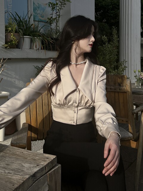 Hollin Long-Sleeved Acetate Satin Shirt for Women Spring & Fall 2025 New Design Niche V Neck Short Shirt