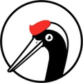 白鹤素材