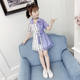 Girls Dresses 2022 New Summer Clothes Children Korean Style Summer Chiffon Baby Skirts Fashionable Girls Princess Dresses