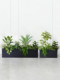 Simulated Green Plant Potted Plants for Shopping Malls, Hotels, Living Rooms, Corridors, Artificial Plant Landscaping, Interior Decoration, Iron Trough Flower Boxes, Partitions