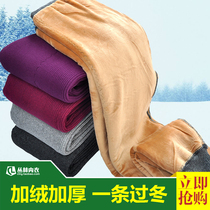 Male women plus velvet padded warm pants cotton high waist hot energy pants winter bottoming stretch pants middle-aged and elderly cotton pants