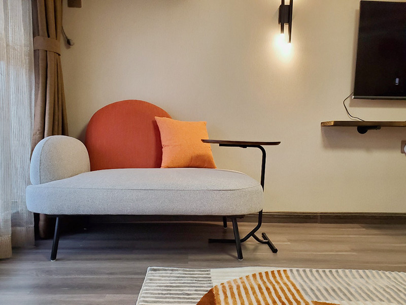 Nordic small fabric sofa small family type modern minimalist double living room light lavish red ins creative sofa chair