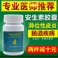 Ansin chống dị ứng maogou chó mèo lớn bệnh dị ứng bệnh đường ruột viêm ruột miễn dịch - Cat / Dog Health bổ sung 	sữa cho mèo con uống