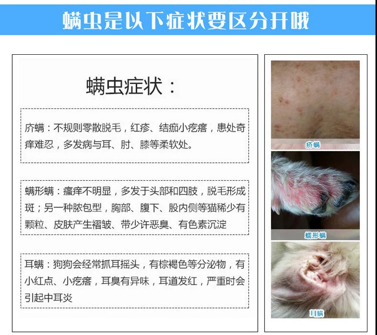 Kem dưỡng da cao cấp AKC thuốc mỡ mèo và chó pet mites vi khuẩn nấm rêu mèo bệnh da liễu viêm da - Cat / Dog Medical Supplies