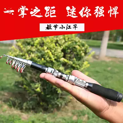 Small Sea Pole 1 meter portable ultra-short festival River pole mini fishing rod throwing Rod long shot rock pole ice fishing Road Asian pole set