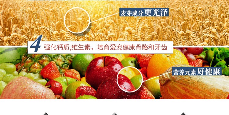 Huang Heng Sai-Class Pet Snacks Dog Snacks Chicken Mực Mực Mei Mao Sushi 100g Teddy Snacks - Đồ ăn vặt cho chó thức ăn chó royal canin