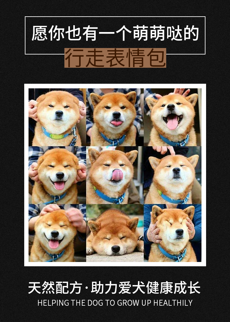 Thức ăn cho chó Shiba Inu Chó Akita Chó trưởng thành Thức ăn cho chó Trung Quốc Vườn chó Đất thức ăn cho chó Chó lớn Làm đẹp Chó Thức ăn 10 kg - Chó Staples pate cho chó