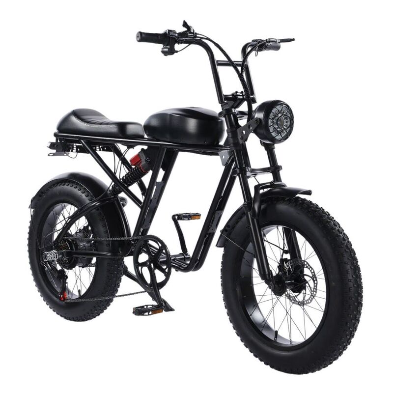 New Model of Electric Vehicle Lithium Battery-Assisted Scooter