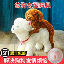 Pooch Hair Love Period Toys Consume Physical Strength Relieving Smother Nibbling Appeasement Special Pet Supplies Male dog Dogs Mother Dog