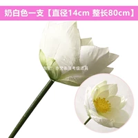 Диаметр 14мм, 14см, 80см