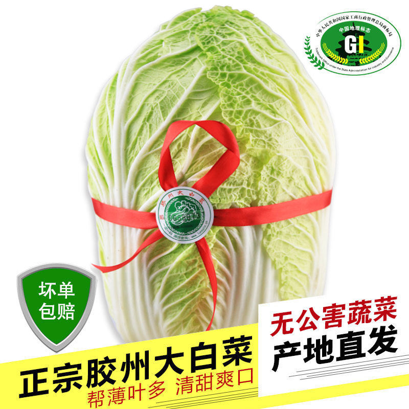 Authentic Jiaozhou Chinese cabbage fresh specialty pollution-free fresh vegetables from the country of origin 5 pounds or so a boxed