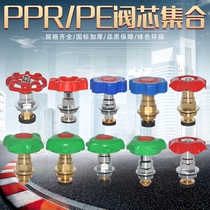 National standard boutique PPR globe valve spool all copper external thread thickened water valve water pipe fittings
