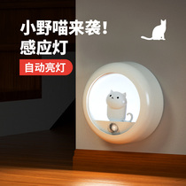 Intelligent human body sensor light automatic lighting at night rechargeable household aisle Corridor light control led night light