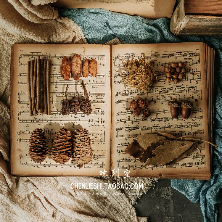 ins north ausen ensemble retro photo photography props material bag natural micro-landscape small twigs oak leaves